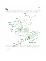Recoil Starter voor Kawasaki Brute Force 750 4x4i 2009