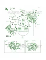 Crankcase voor Kawasaki Brute Force 750 4x4i Hardwoods Green HD 2005