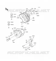 ENGINE COVERS voor Kawasaki ZZR250 2001
