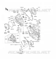 ENGINE COVERS voor Kawasaki TERYX 750 FI 4X4 LE 2011