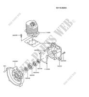 CYLINDER HEAD/CRANKCASE voor Kawasaki TG MOTORS TG018D