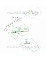 DecalsBlueJ8F voor Kawasaki ZZR600 2006