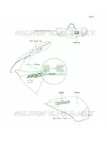 DecalsEbonyJ7F voor Kawasaki ZZR600 2006