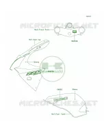 DecalsEbonyJ8F voor Kawasaki ZZR600 2006