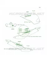 DecalsSilverJ6F voor Kawasaki ZZR600 2006